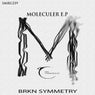 Moleculer E.P