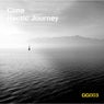 Hectic Journey