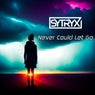 Never Could Let Go (Extended)