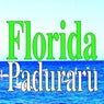 Florida 2022 (Fitness Music)