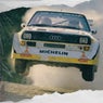 Flying Rally