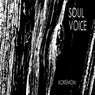 Soul Voice