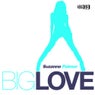 Big Love Remixes Part 2