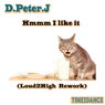 Hmmm I Like It (Loud2High Rework)