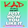 Just How You Like It (Disrupta Extended Remix)