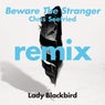 Beware The Stranger (Chris Seefried Remix) [feat. Trombone Shorty]