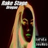 Rake Stage