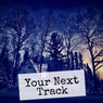 Your Next Track, Vol. 8