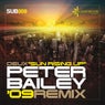 Sun Rising Up (Peter Bailey 09 Remix)