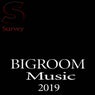 BIGROOM MUSIC 2019