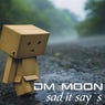Sad It Say's