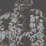 Belladonna