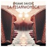 La Fisarmonica