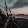 Longshore
