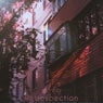 Retrospection