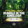 Rumble In The Jungle