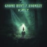 Gnome Hunt / Anomaly