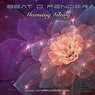 Morning Glory