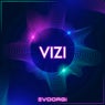 Vizi