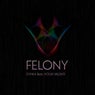 Felony (Original Mix)