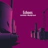 Echoes