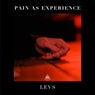 Pain as Experience