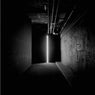 Iluminate the Night