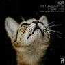The Tranquillity of A Remix - Pt. II
