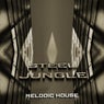 STEEL JUNGLE (feat. DJ DARTFROG)