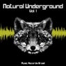 Natural Underground, Vol. 1