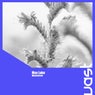 Waveforms