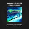 The Awakening Process
