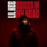 Voices In My Head