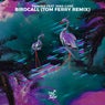 Birdcall (Tom Ferry Remix)