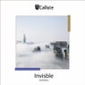 Invisble