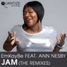 Jam (The Remixes)