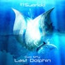 Last Dolphin
