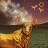 Taurus