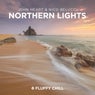 Northern Lights