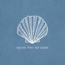 Signals from the Ocean
