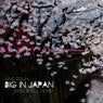 Big in Japan (Ivan Spell Remix)