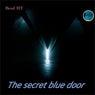 The Secret Blue Door