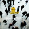 Caroline (Shugz Remix; Extended)