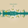 Pulse (Album)