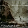 Microorganism