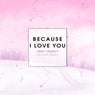 Because I Love You (NY~ON Remix)