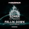 Fallin Down / Sonar