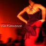 Via Flamenca