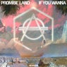 If You Wanna - Extended Version