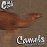 Camels
